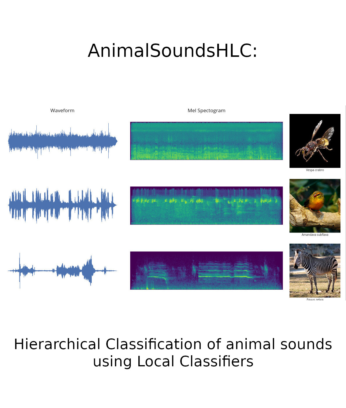 Hierarchical Classification of animal sounds